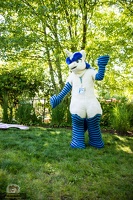 EFNW-cosplay photoshoot-saturday-blaze collie-025