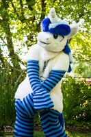 EFNW-cosplay photoshoot-saturday-blaze collie-026