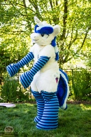 EFNW-cosplay photoshoot-saturday-blaze collie-028