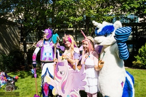 EFNW-cosplay photoshoot-saturday-blaze collie-049