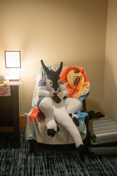 EFNW-2024-FRI-e1659.jpg