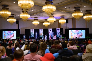 EFNW-2025-SUN-BD-095