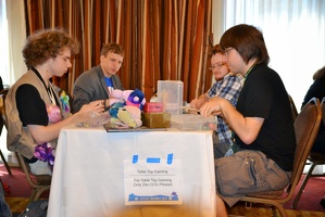 everfree northwest-sunday-miscelaneous-brawny buck-07062014-006