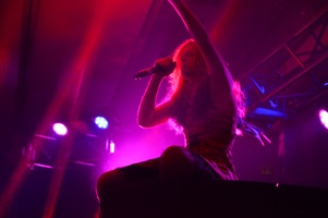 EFNW-ponystock-friday-brawny buck-205