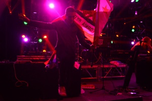 EFNW-ponystock-friday-brawny buck-208