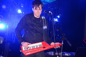 EFNW-ponystock-friday-brawny buck-216