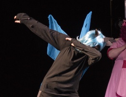 DSC08417-34 tif