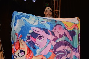 efnw-charityauction-brawny-05132017-037