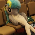 efnw-chartyauction-lhet-05132017-092
