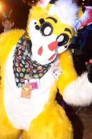 efnw-ponystock-brawny-05122017-077