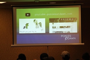 EFNW-PoniesAtDawn-Sydney-20190518113428 IMG 0553