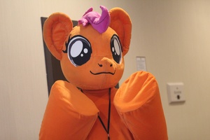 EFNW-HallwayShots-Sydney-20190517114800 IMG 0387