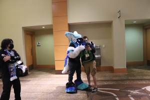IMG 1242
