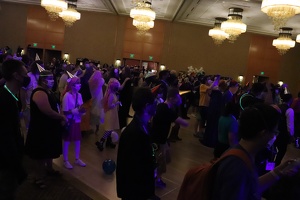 IMG 1517