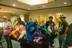EFNW-2024-FRI-e1609