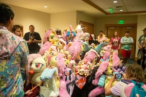 EFNW-2024-FRI-e1632