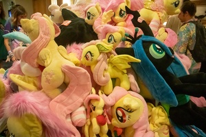 EFNW-2024-FRI-e1641