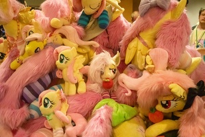 EFNW-2024-FRI-e1661