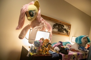 EFNW-2024-FRI-e1665