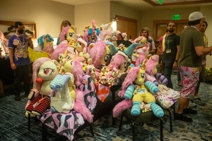 EFNW-2024-FRI-e1672