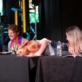 EFNW-2024-SAT-1123