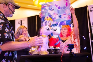 EFNW-2025-SUN-BL-4916