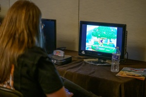 EFNW-2025-ELEC-BD-01