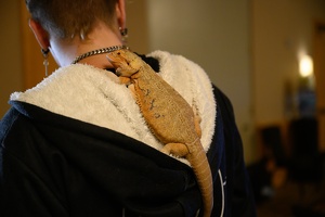 EFNW-2025-ELEC-BD-08